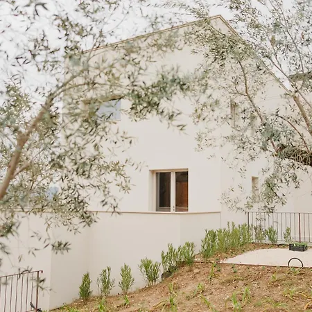 Casa O