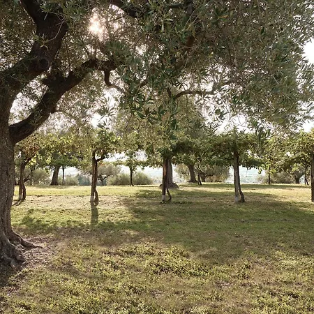 Casa O Villa *